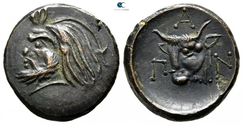 The Tauric Chersonese. Pantikapaion circa 340-325 BC. 
Bronze Æ

18mm., 3,76g...