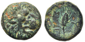 THRACE. Lysimacheia. Circa 309-220 BC. Ae (bronze, 2.51 g, 14 mm). Head of a lion to right. Rev. ΛY-ΣI Grain ear; to lower left, monogram of AN.Cf Leu...