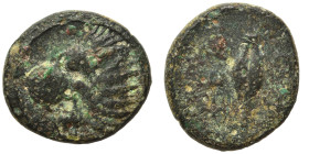 THRACE. Chersonesos. Circa 386-309 BC. Ae (bronze, 1.88 g, 12 mm). Head of lion left. Rev. XEP / PO Grain ear. SNG Copenhagen 844-5; HGC 3.2, 1439. Fi...