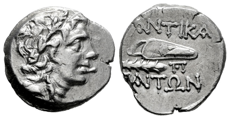 Cimmerian Bosporos. Pantikapaion. Drachm. 120-105 a.C. Time of Mithridates VI Eu...