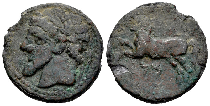 North Africa. Massinissa or Micipsa. AE 27. 203-148 a.C. Kings of Numidia. (Maza...