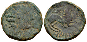 Oilaunikos-Oilaunes. Unit. 120-20 BC. North area of Ebro. (Abh-1861). (Acip-1795). Anv.: Laureate head, iberian letters SOS before, pellet behind. Rev...