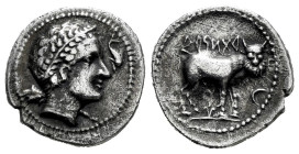 Arse-Saguntum. Drachm. 300-200 BC. Sagunto (Valencia). (Abh-2027). (Acip-1963). (MIB-34/36). Anv.: Laureate head of Hercules right with club, dolphin ...
