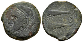 Sexi. Unit. 200-20 BC. Almuñecar (Granada). (Abh-2224). (MIB-11/15b). (Acip-811). Anv.: Head of Melkart left, with lion skin, club behind. Rev.: Two t...