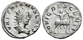 Valerian II. Antoninianus. 256 d.C. Colonia Agrippinensis. (Ric-V 1,3). (Mir-907e). Anv.: VALERIANVS CAES. Radiate and draped bust to right. Rev.: IOV...
