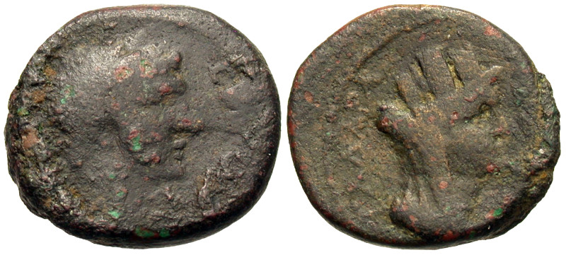 Syria, Decapolis. Gadara. Claudius. A.D. 41-54. AE (16 mm, 4.84 g).