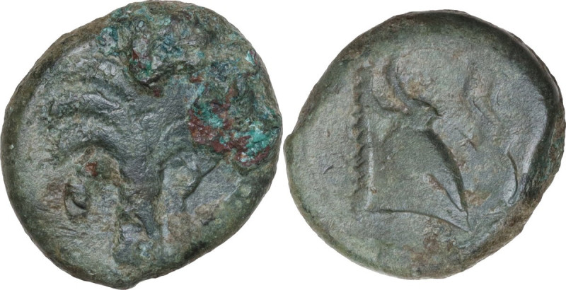 Punic Sardinia. AE 19 mm. c. 330-300 BC, uncertain mint. Obv. Palm tree with two...