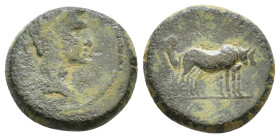 Macedon. Philippi, Tiberius. 14-37 AD. TI AVG, bare head of Tiberius right / Two priests plowing right with yoke of oxen. AE 17mm, 5,31g.