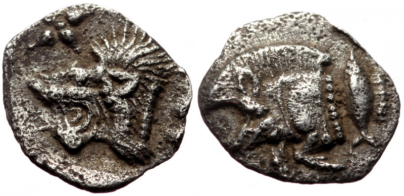 Hemiobol AR
Mysia, Kyzikos, 5th century BC