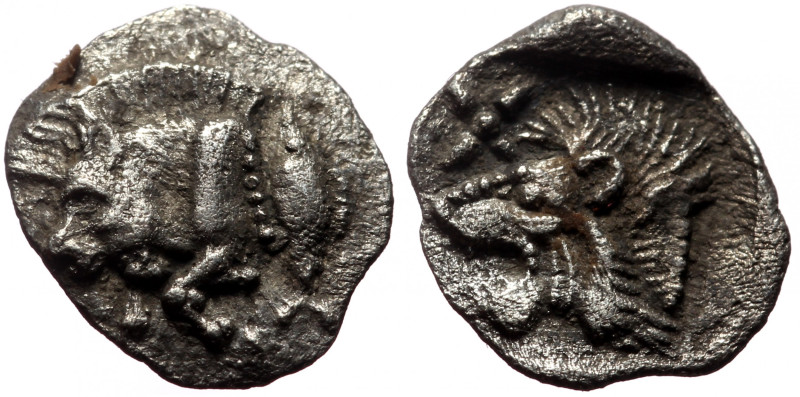 Hemiobol AR
Mysia, Kyzikos, 5th century BC