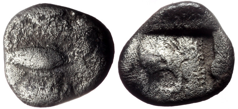 Obol AR
Mysia, Kyzikos
10 mm, 1,11 g