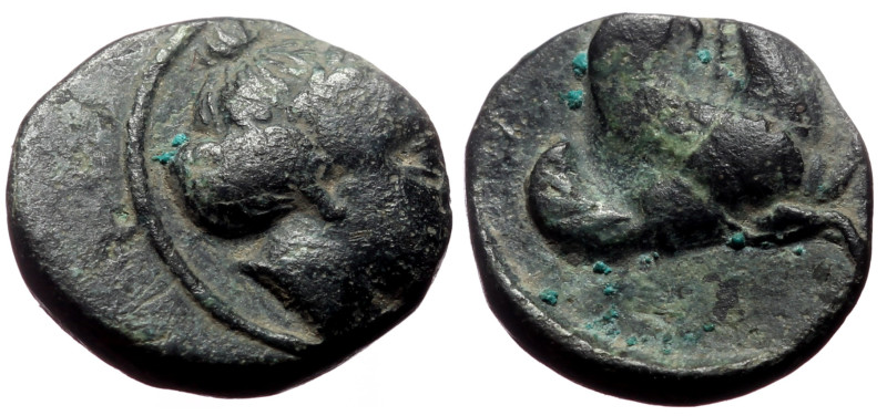 Bronze Æ
Mysia, Lampsakos, 4th-3rd century BC
11 mm, 1,21 g