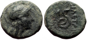 Bronze Æ
Kings of Pergamon, Philetairos (282-263 BC)
15 mm, 3,08 g