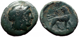 Bronze Æ
Ionia, Miletos
19 mm, 3,37 g