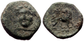 Bronze Æ
Ionia, Miletos, c. 259-246 BC
10 mm, 1 g