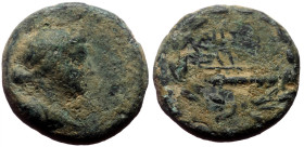 Bronze Æ
Lydia, Sardeis, 100 BC
15 mm, 2,78 g