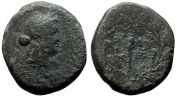 Bronze Æ
Lydia, Sardeis, 100 BC
18 mm, 4,20 g