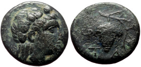 Bronze Æ
Aiolis, Temnos, c. 300-200 BC
17 mm, 3,90 g