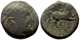 Bronze Æ
Troas, Gargara
15 mm, 3,67 g