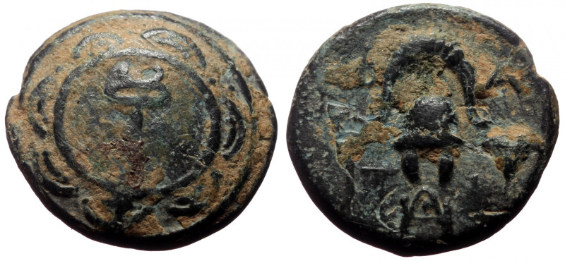 Bronze Æ
Macedon
15 mm, 3,30 g