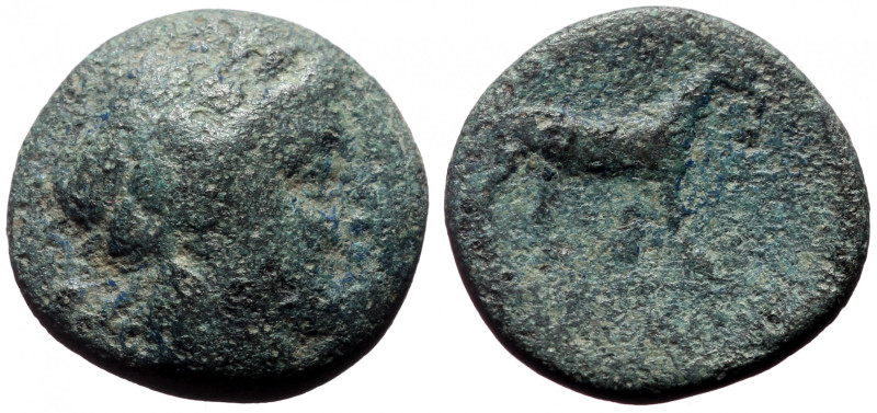 Bronze Æ
Greek Coin
17 mm, 3,47 g