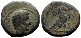 Bronze Æ
Phrygia, Amorion, 1st century BC