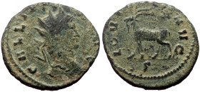 Antoninianus AE
Gallienus (260-268)