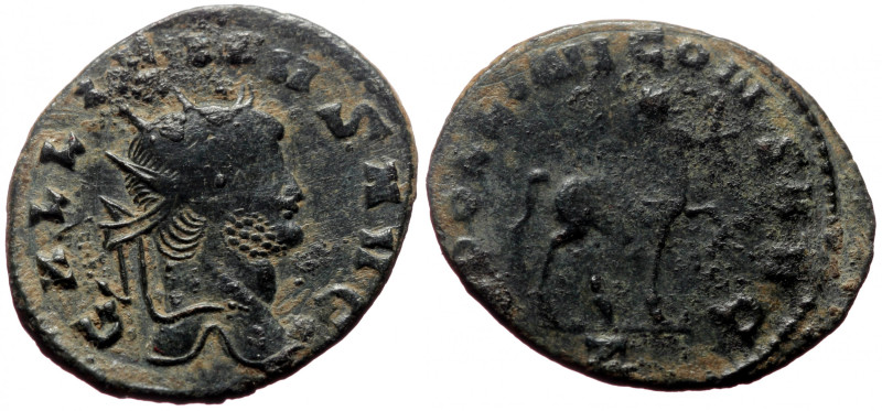 Antoninianus AE
Gallienus (260-268)