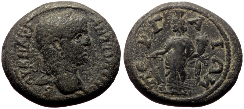 Bronze Æ
Pamphylia, Perge, Caracalla, AD 198-217
ΑΥ Κ Μ ΑΥ ΑΝΤΩΝΙΝΟ. Laureate ...