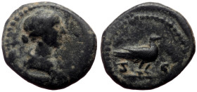 Bronze Æ
Anonymous Quadrans
.81-161 AD
Diademed and draped bust of Venus right /
S-C, Dove standing right
20 mm, 6,62 g
RIC II 24; Sear 2924