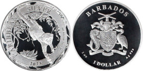 1 Oz AR
Barbados, Monkey, 2023
31,10 g
KM# 342