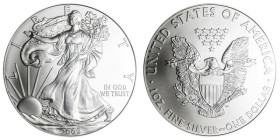 1 Oz AR
USA, Walking Liberty, 2009
31,10 g