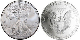 1 Oz AR
USA, Walking Liberty, 2011
31,10 g