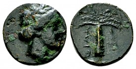 Halieis Chalkous, c. 340-330 BC. 

Argolis, Halieis. AE Chalkous (11 mm, 1.51 g), c. 340-330 BC. The Tirynthians at Halieis.
Obv. Laureate head of ...