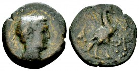 Lakedaimon/Sparta Tetrachalkon, c. 40s BC 

Lakedaimon/Sparta. Tetrachalkon (19-20 mm, 3.54 g), c. 40s BC.
Obv. Diademed and draped bust of Lakedai...