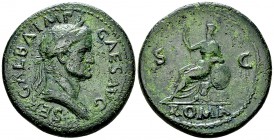Galba AE Sestertius, Roma reverse 

Galba (68-69 AD). AE Sestertius (35-36 mm, 27.36 g), Rome.
Obv. SER GALBA IMP CAES AVG, Laureate and draped bus...