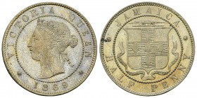 Jamaica 1/2 Penny 1869 

Jamaica. Victoria (1837-1901). 1/2 Penny 1869 (5.75 g).
KM 16.

Almost FDC.