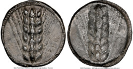LUCANIA. Metapontum. Ca. 510-470 BC. AR stater (24mm, 7.41 gm, 12h). NGC Choice Fine 5/5 - 3/5. META (retrograde), grain ear; guilloche border on rais...