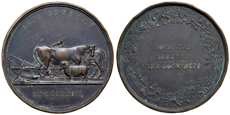 Austria, Vienna - Medaglia 1823, Società agricola Vindobonensis - Opus: I.D.Boeh...