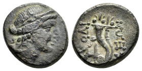 PHRYGIA. Laodikeia.(Circa 158-138 BC).Ae.

Obv : Head of Aphrodite right, wearing stephane.

Rev : ΛAOΔI / KEΩN.
Double cornucopia.
BMC 32; HGC 7, 736...