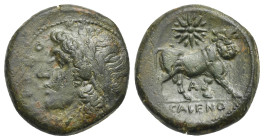 Campania, Cales. Bronze circa 317-280 BC, AE 21.00 mm, 6.28 g. 
Green patina. Very Fine.