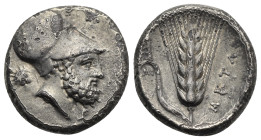 Lucania, Metapontum. Nomos circa 340-330, AR 20.00 mm, 7.62 g. 
Some corrosion and deposits, otherwise, VF.