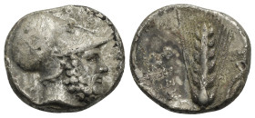Lucania, Metapontum. Stater circa 330-300, AR 20.73 mm, 7.85 g.
About VF