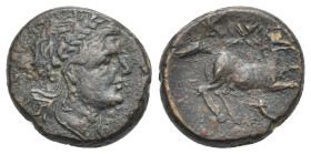 Sicily, Syracuse. Bronze circa 270-240, Æ 16.75 mm, 4.50 g.
VF