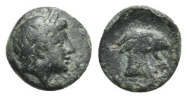 Aeolis, Aigai. Bronze circa 400-300 BC, AE 10.38 mm, 0.78 g. 
About VF