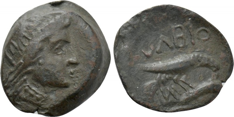 SKYTHIA. Olbia. Ae (Circa 380-360 BC). 

Obv: Head of Demeter right.
Rev: OΛB...