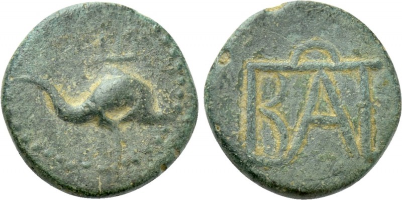 KINGS OF BOSPOROS. Polemo I (Circa 37-8 BC). Ae. Pantikapaion. 

Obv: Dolphin ...