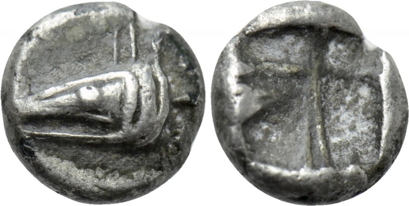 MYSIA. Kyzikos. Hemiobol (Circa 550-480 BC). 

Obv: Head of tunny left.
Rev: ...
