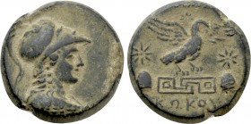 PHRYGIA. Apameia. Ae (Circa 88-40 BC). Kokos, magistrate.