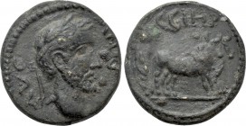 MYSIA. Parium. Antoninus Pius (138-161). Ae.